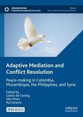 de Coning / Saraiva / Muto |  Adaptive Mediation and Conflict Resolution | Buch |  Sack Fachmedien
