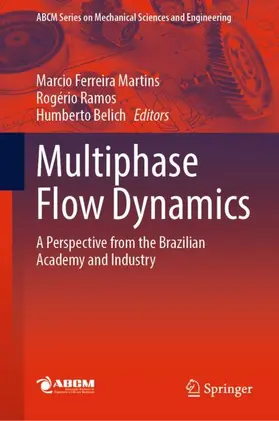 Ferreira Martins / Belich / Ramos |  Multiphase Flow Dynamics | Buch |  Sack Fachmedien