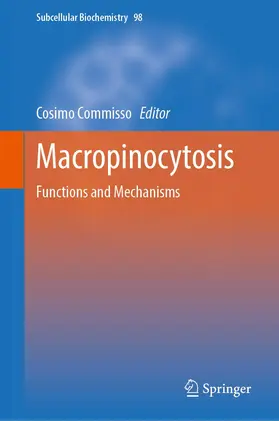 Commisso |  Macropinocytosis | Buch |  Sack Fachmedien