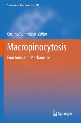 Commisso |  Macropinocytosis | Buch |  Sack Fachmedien