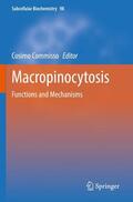 Commisso |  Macropinocytosis | Buch |  Sack Fachmedien