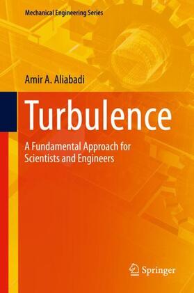 Aliabadi |  Turbulence | Buch |  Sack Fachmedien