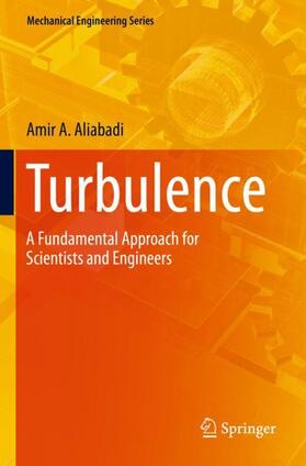 Aliabadi | Turbulence | Buch | 978-3-030-95413-0 | sack.de
