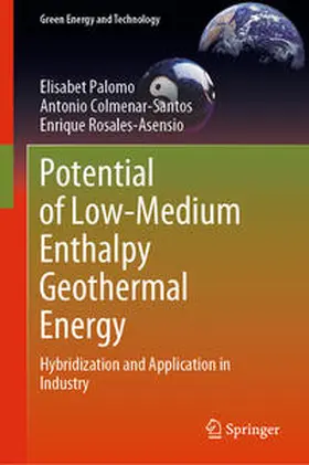 Palomo / Colmenar-Santos / Rosales-Asensio | Potential of Low-Medium Enthalpy Geothermal Energy | E-Book | sack.de