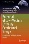 Palomo / Rosales-Asensio / Colmenar-Santos |  Potential of Low-Medium Enthalpy Geothermal Energy | Buch |  Sack Fachmedien