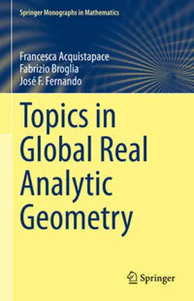 Acquistapace / Broglia / Fernando | Topics in Global Real Analytic Geometry | E-Book | sack.de