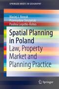 Nowak / Sleszynski / Sleszynski |  Spatial Planning in Poland | eBook | Sack Fachmedien