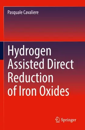 Cavaliere |  Hydrogen Assisted Direct Reduction of Iron Oxides | Buch |  Sack Fachmedien
