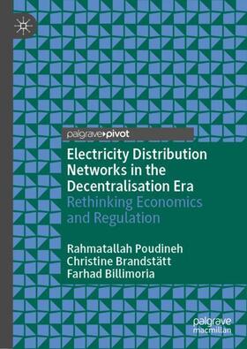 Poudineh / Billimoria / Brandstätt | Electricity Distribution Networks in the Decentralisation Era | Buch | 978-3-030-98068-9 | sack.de