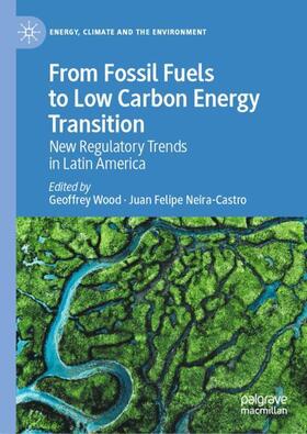 Neira-Castro / Wood | From Fossil Fuels to Low Carbon Energy Transition | Buch | 978-3-031-00298-4 | sack.de