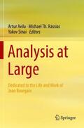 Avila / Sinai / Rassias |  Analysis at Large | Buch |  Sack Fachmedien