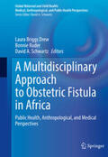 Drew / Ruder / Schwartz |  A Multidisciplinary Approach to Obstetric Fistula in Africa | eBook | Sack Fachmedien