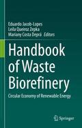 Jacob-Lopes / Costa Deprá / Queiroz Zepka |  Handbook of Waste Biorefinery | Buch |  Sack Fachmedien