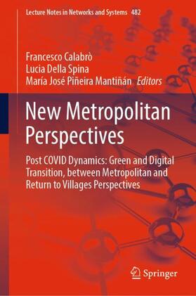 Calabrò / Piñeira Mantiñán / Della Spina | New Metropolitan Perspectives | Buch | 978-3-031-06824-9 | sack.de