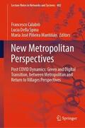 Calabrò / Piñeira Mantiñán / Della Spina |  New Metropolitan Perspectives | Buch |  Sack Fachmedien
