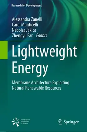 Zanelli / Fan / Monticelli |  Lightweight Energy | Buch |  Sack Fachmedien