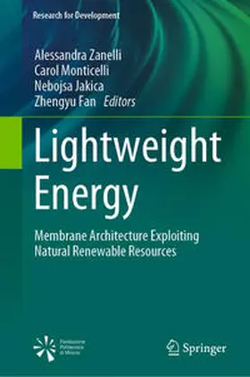 Zanelli / Monticelli / Jakica |  Lightweight Energy | eBook | Sack Fachmedien