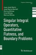 Marín / Martell / Mitrea |  Singular Integral Operators, Quantitative Flatness, and Boundary Problems | Buch |  Sack Fachmedien