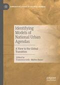 Basso / Gelli |  Identifying Models of National Urban Agendas | Buch |  Sack Fachmedien