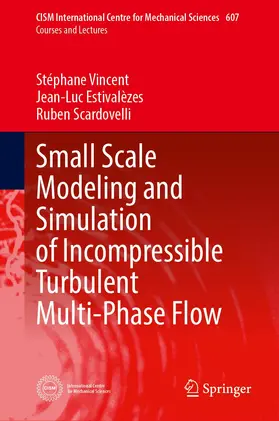 Vincent / Scardovelli / Estivalèzes |  Small Scale Modeling and Simulation of Incompressible Turbulent Multi-Phase Flow | Buch |  Sack Fachmedien