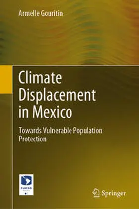 Gouritin |  Climate Displacement in Mexico | eBook | Sack Fachmedien