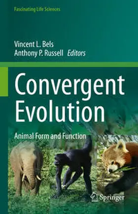 Bels / Russell | Convergent Evolution | Buch | 978-3-031-11440-3 | www.sack.de