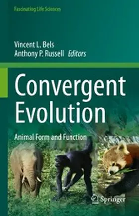 Bels / Russell |  Convergent Evolution | eBook | Sack Fachmedien