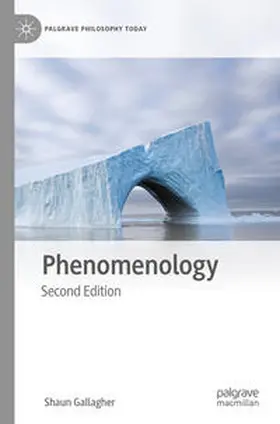 Gallagher |  Phenomenology | Buch |  Sack Fachmedien