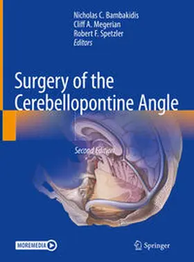 Bambakidis / Megerian / Spetzler | Surgery of the Cerebellopontine Angle | E-Book | sack.de