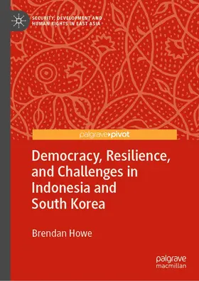 Howe |  Consolidating Democracy | Buch |  Sack Fachmedien