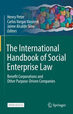 Peter / Alcalde Silva / Vargas Vasserot |  The International Handbook of Social Enterprise Law | Buch |  Sack Fachmedien
