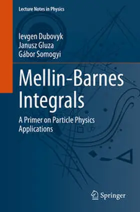 Dubovyk / Gluza / Somogyi | Mellin-Barnes Integrals | E-Book | sack.de