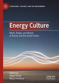 Vinokour / Porter |  Energy Culture | Buch |  Sack Fachmedien