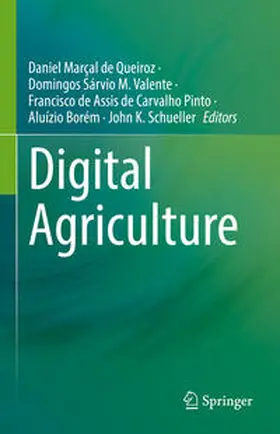 Marçal de Queiroz / M. Valente / de Assis de Carvalho Pinto | Digital Agriculture | E-Book | www.sack.de