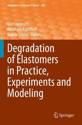 Heinrich / Stocek / Kipscholl |  Degradation of Elastomers in Practice, Experiments and Modeling | Buch |  Sack Fachmedien