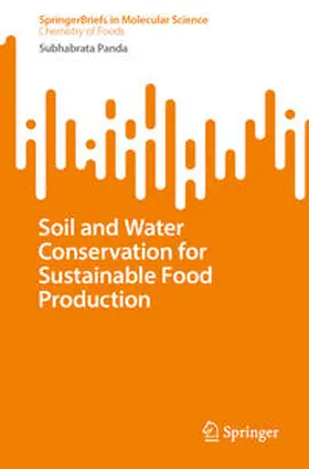 Panda |  Soil and Water Conservation for Sustainable Food Production | eBook | Sack Fachmedien