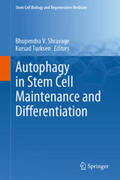 Shravage / Turksen |  Autophagy in Stem Cell Maintenance and Differentiation | eBook | Sack Fachmedien