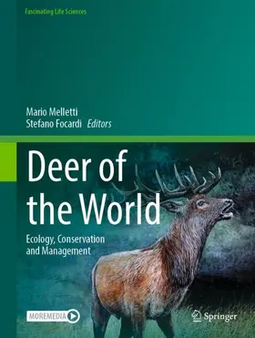 Focardi / Melletti |  Deer of the World | Buch |  Sack Fachmedien