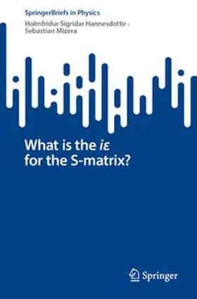 Hannesdottir / Mizera |  What is the ie for the S-matrix? | eBook | Sack Fachmedien