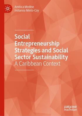 Minto-Coy / Medine |  Social Entrepreneurship Strategies and Social Sector Sustainability | Buch |  Sack Fachmedien