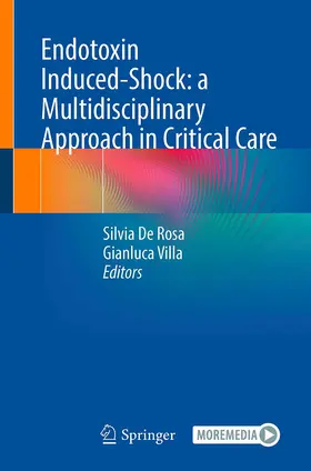 De Rosa / Villa | Endotoxin Induced-Shock: a Multidisciplinary Approach in Critical Care | Buch | 978-3-031-18590-8 | www.sack.de