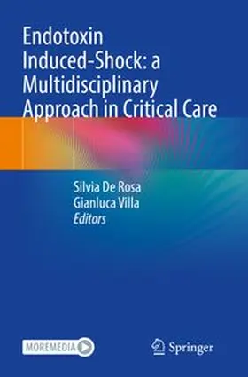 De Rosa / Villa | Endotoxin Induced-Shock: a Multidisciplinary Approach in Critical Care | Buch | 978-3-031-18593-9 | www.sack.de