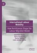 Vasile / Comes / Bunduchi |  International Labour Mobility | Buch |  Sack Fachmedien