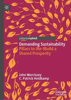 Heidkamp / Morrissey |  Demanding Sustainability | Buch |  Sack Fachmedien