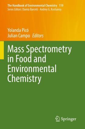 Campo / Picó | Mass Spectrometry in Food and Environmental Chemistry | Buch | 978-3-031-19095-7 | sack.de