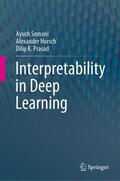 Somani / Prasad / Horsch |  Interpretability in Deep Learning | Buch |  Sack Fachmedien