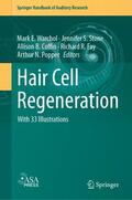 Warchol / Stone / Fay |  Hair Cell Regeneration | Buch |  Sack Fachmedien