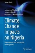 Egbueri / Pande / Ighalo |  Climate Change Impacts on Nigeria | Buch |  Sack Fachmedien