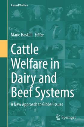 Haskell |  Cattle Welfare in Dairy and Beef Systems | Buch |  Sack Fachmedien