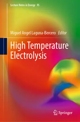Laguna-Bercero |  High Temperature Electrolysis | eBook | Sack Fachmedien